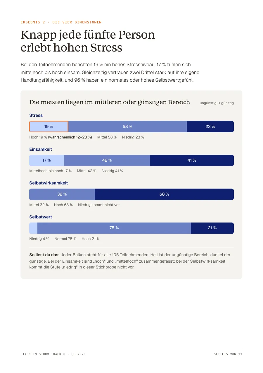 Seite 5 des Berichts: die vier Bereiche als Balken