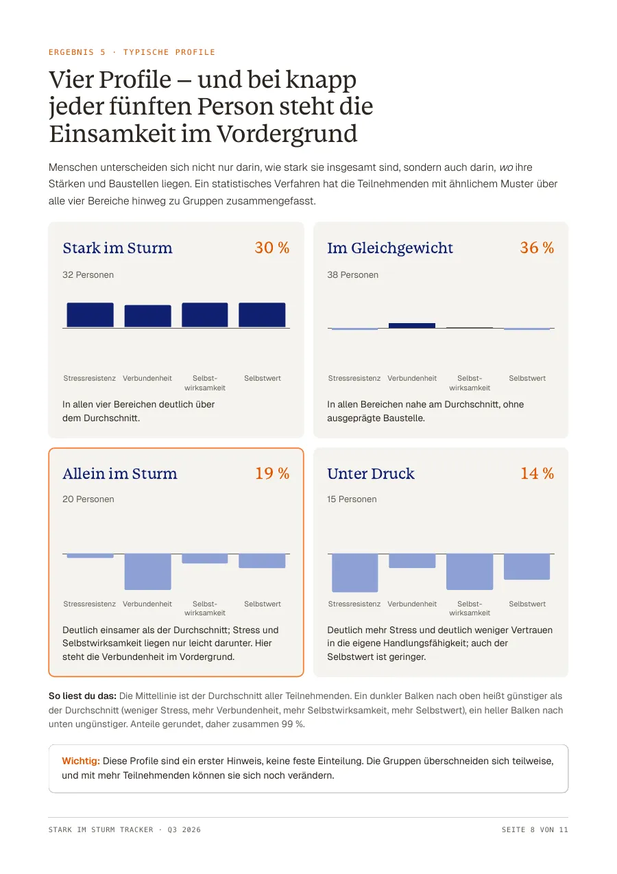 Seite 8 des Berichts: vier typische Profile