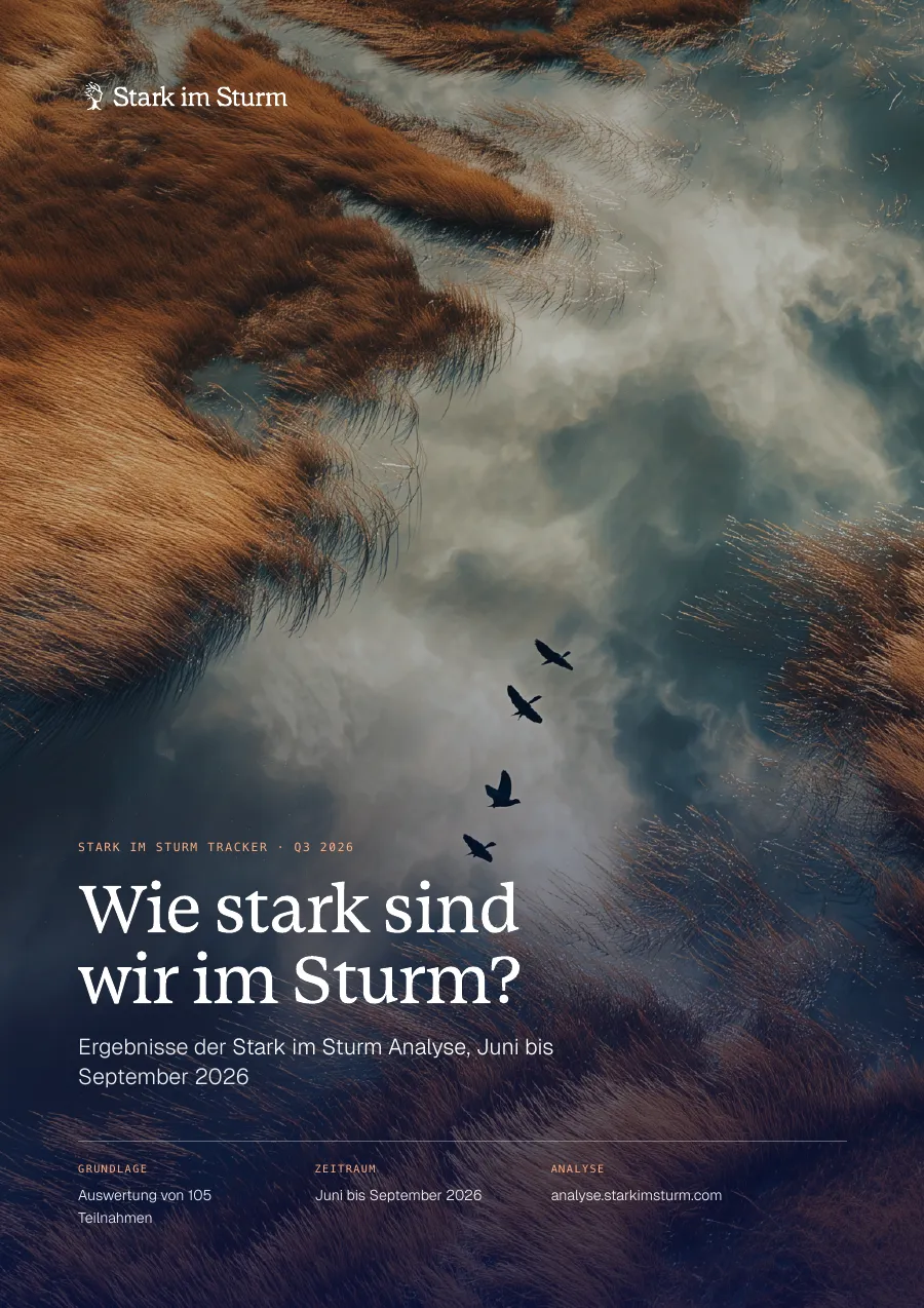 Titelblatt des Ergebnisberichts zum Stark im Sturm Tracker Q3 2026